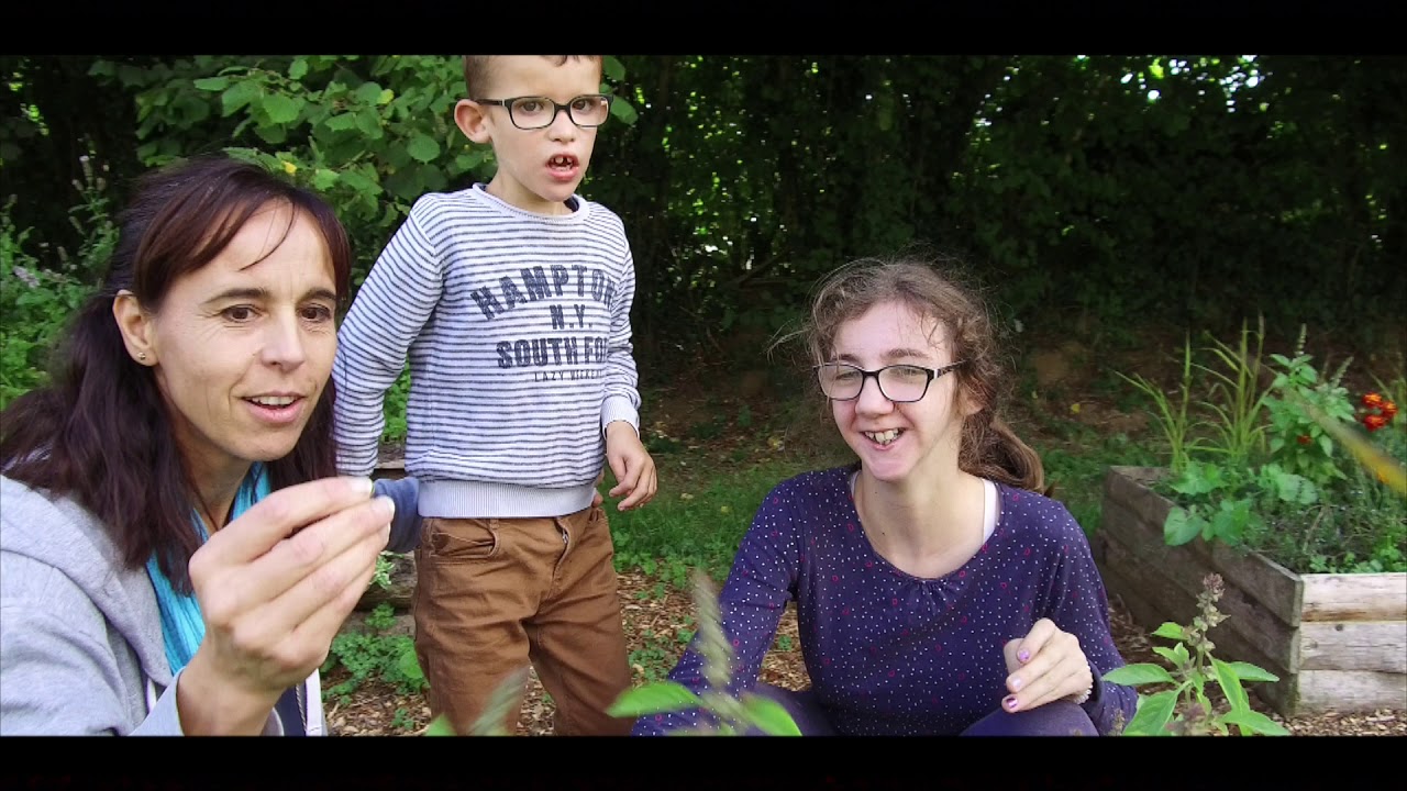 spot parcours des sens 4K