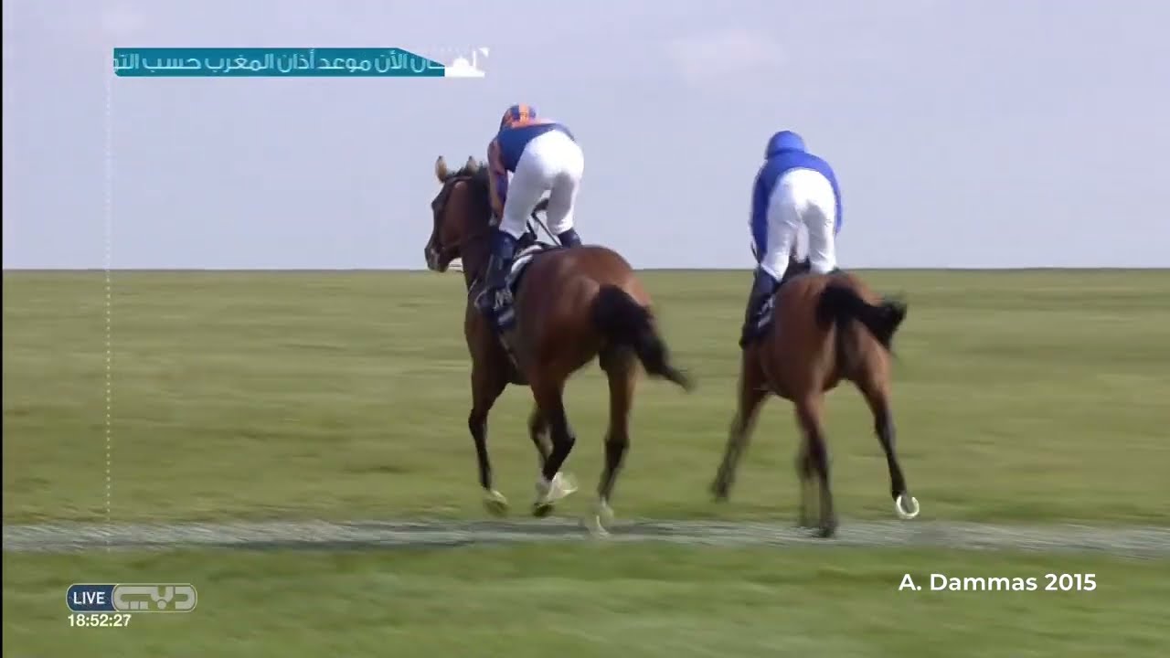 Qipco 2000 Guineas Stakes 2015 G1-  Gleneagles