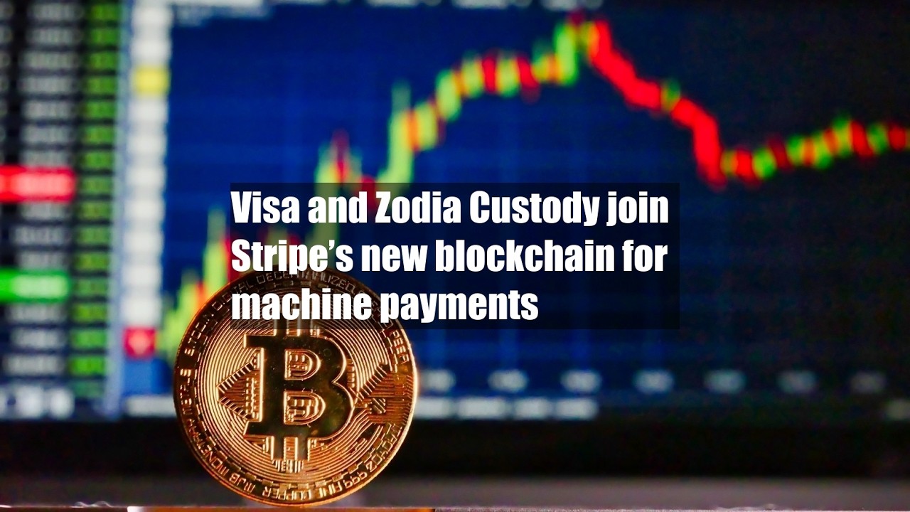 Visa и Zodia Custody присоединились к новой блокчейн-платформе Stripe для автоматизированных плат...