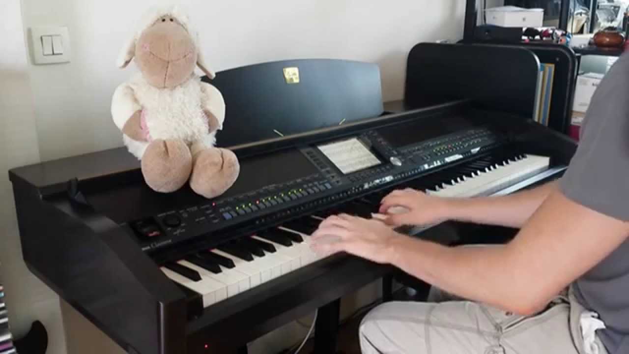 Cats on Trees - Sirens call (piano cover) [HD]