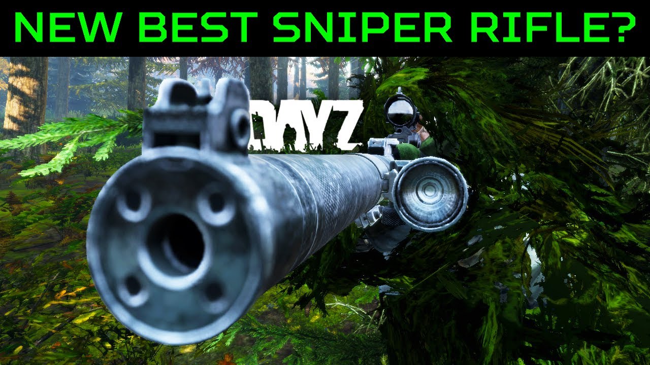 [OLD]The New AS VAL Compared to the VSS & SVD | Which is the best Sniper Rifle in DayZ