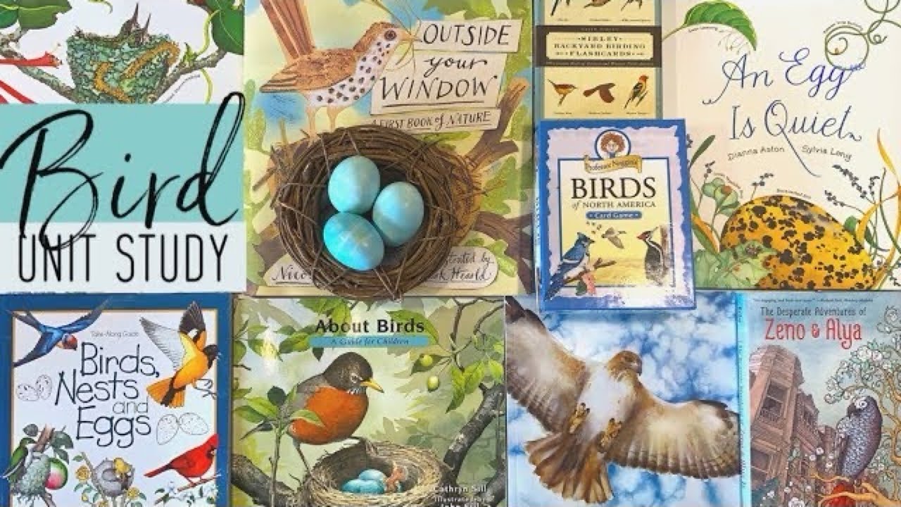 How to put Together a Unit Study | Birds | Zoology Waldorf Inspired