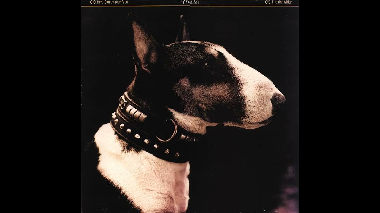 Pixies - Here Comes Your Man (Instrumental)