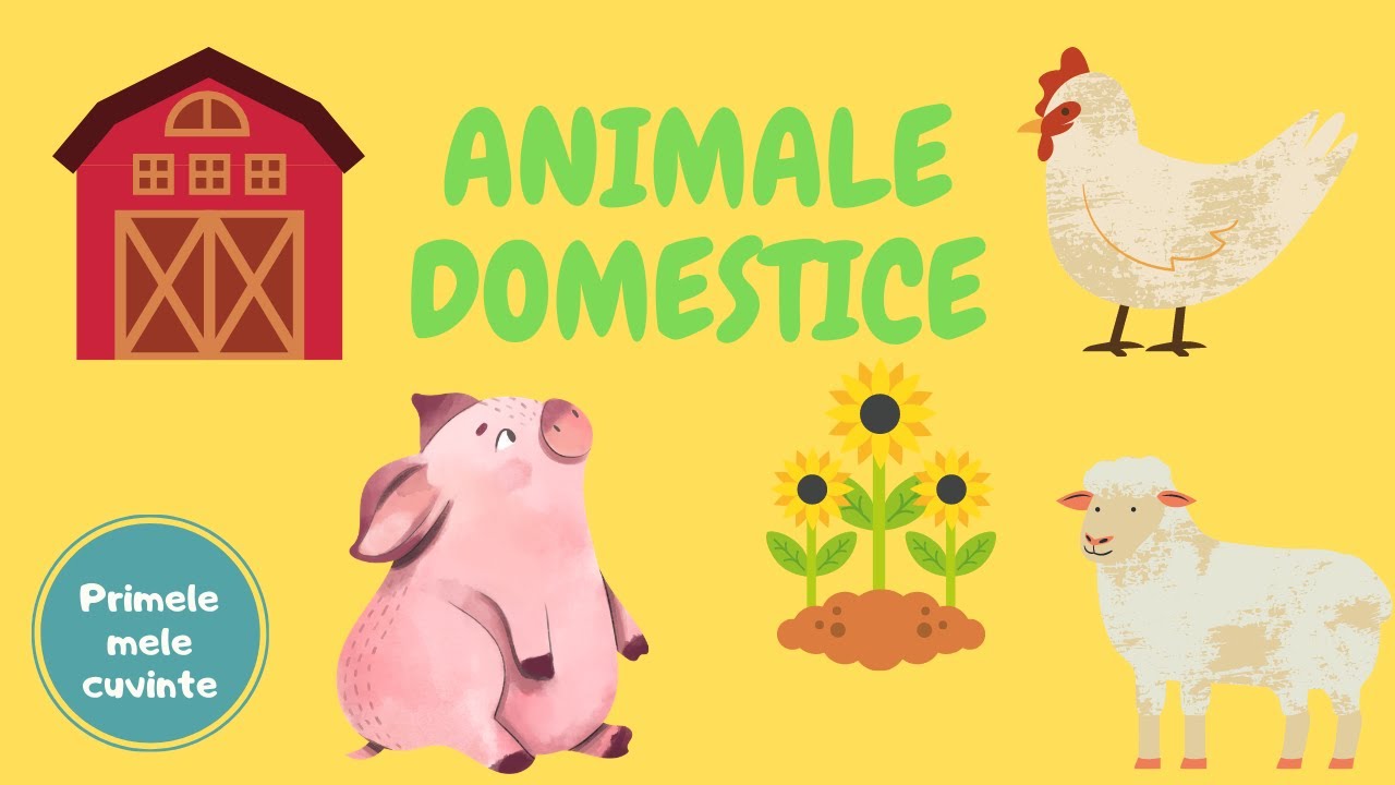 Primele mele cuvinte - Animale domestice