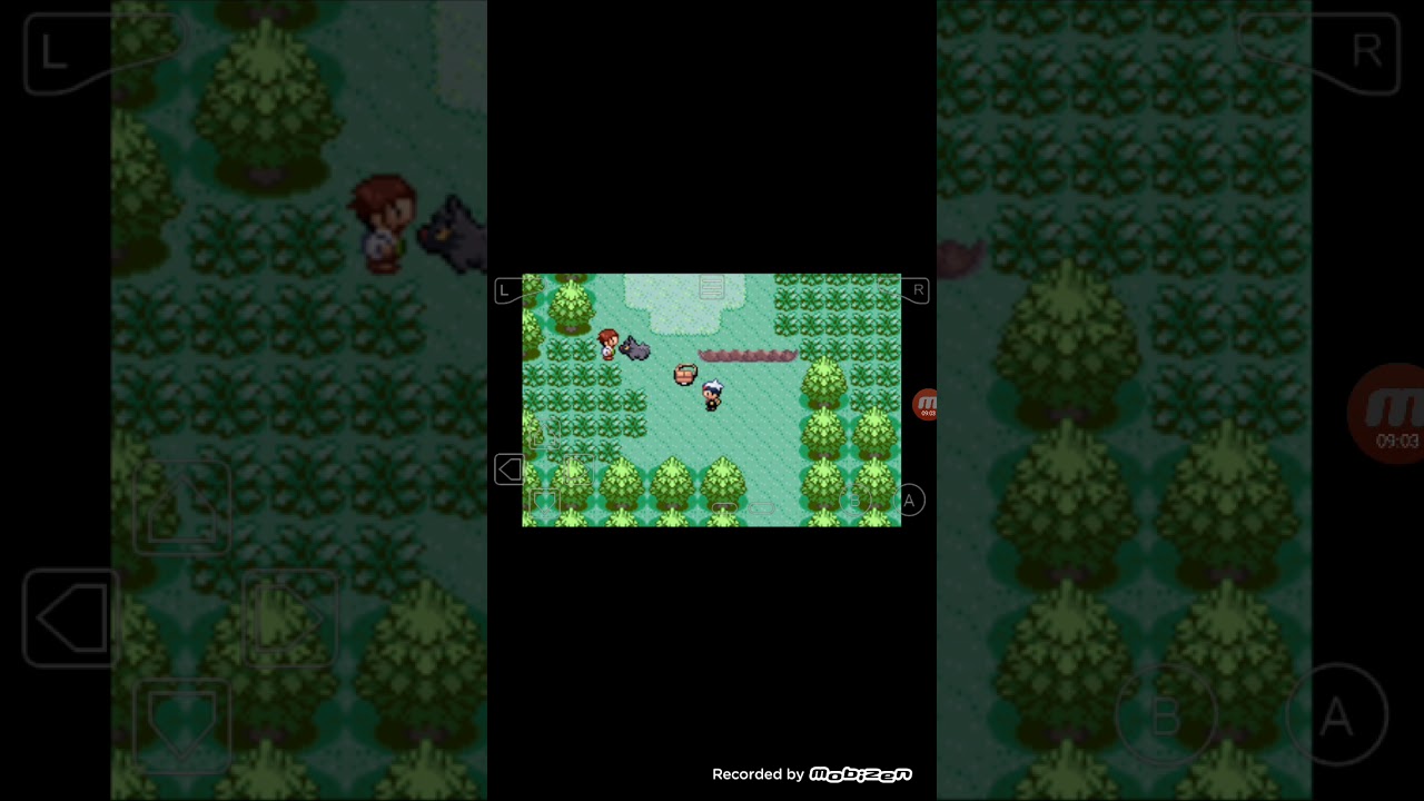 LTA3207L-/Pokemon Rojo Rubi/cap #1-Coniciendo nuebas personas