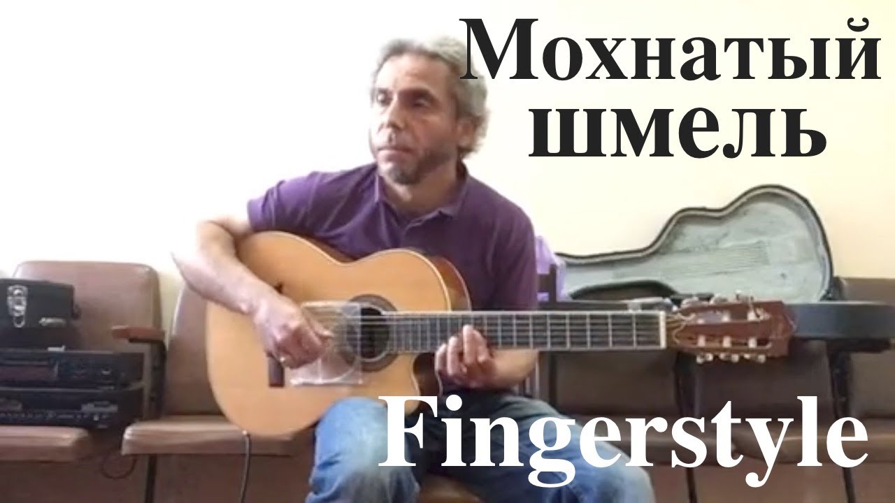 Мохнатый шмель / Fingerstyle Cover