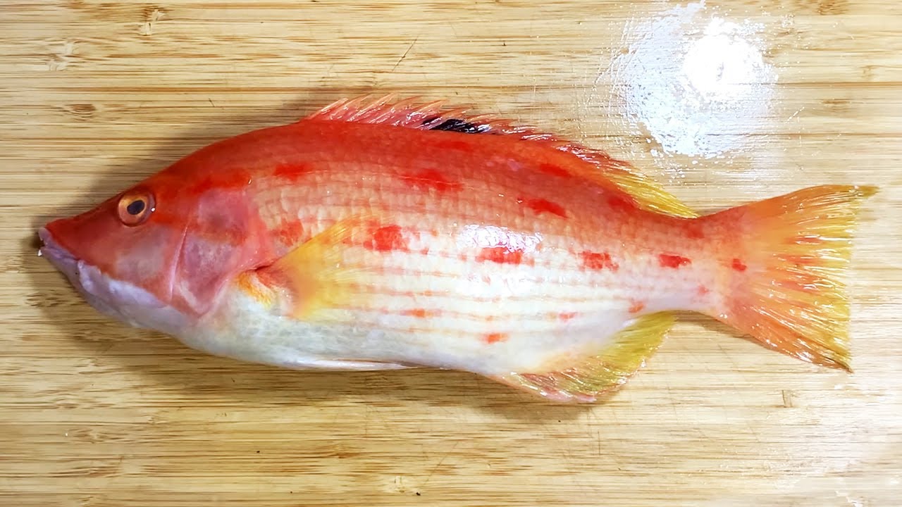 初めて食べる高級珍魚に、ご機嫌なハンターの酒が進んで仕方がない