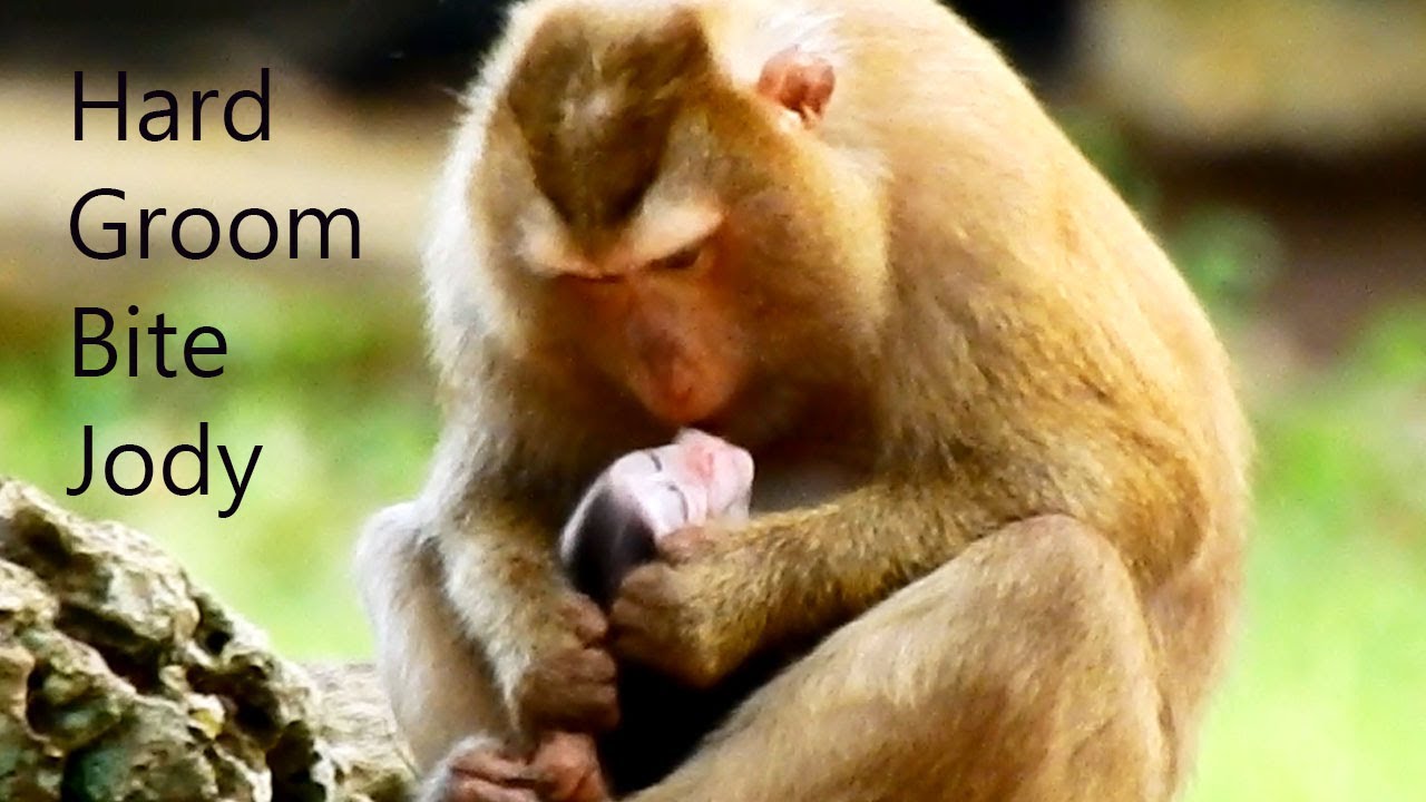 Baby Jody feel Hurt, Kidnapper Bonita So Hard Grooming With Little Bite Jody
