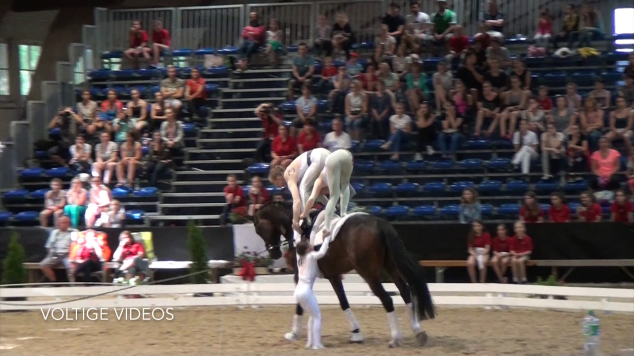 CVI Bern 2017 - Team Lütisburg Kür