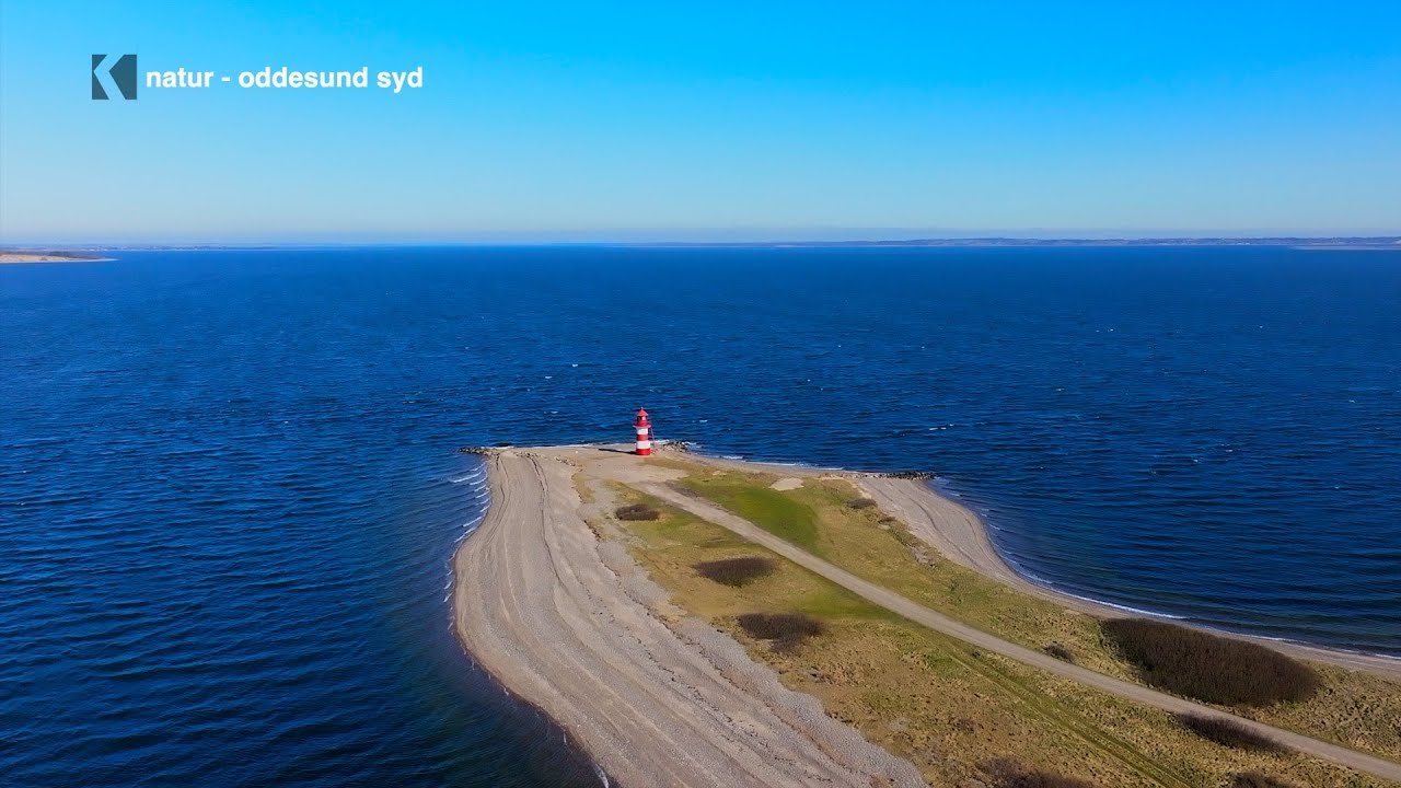 Opdag Oddesund: En Rejse gennem Historie og Natur