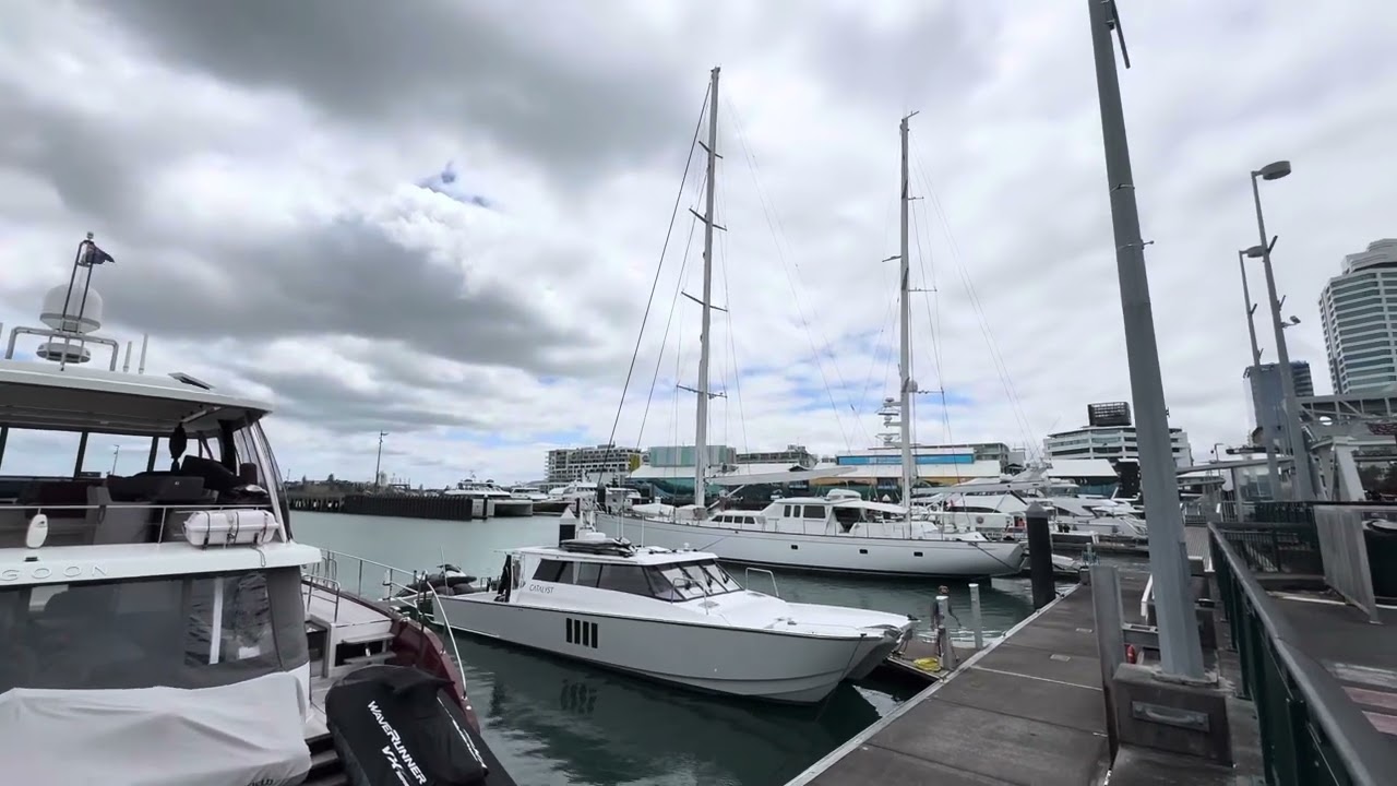 #auckland #sailing