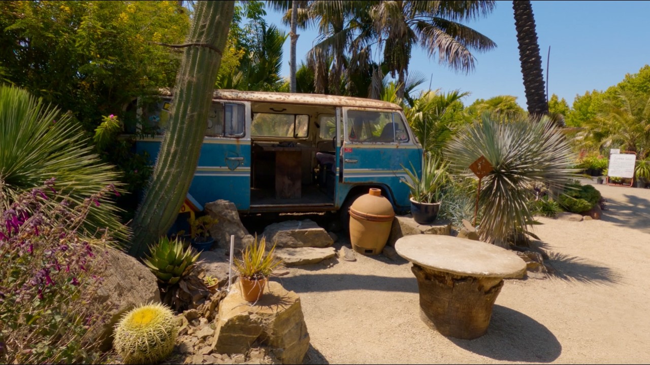 Golden Gate Palms | Richmond, California