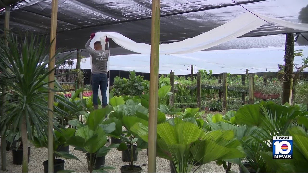 Cold snap sends local farmers scrambling to protect plants