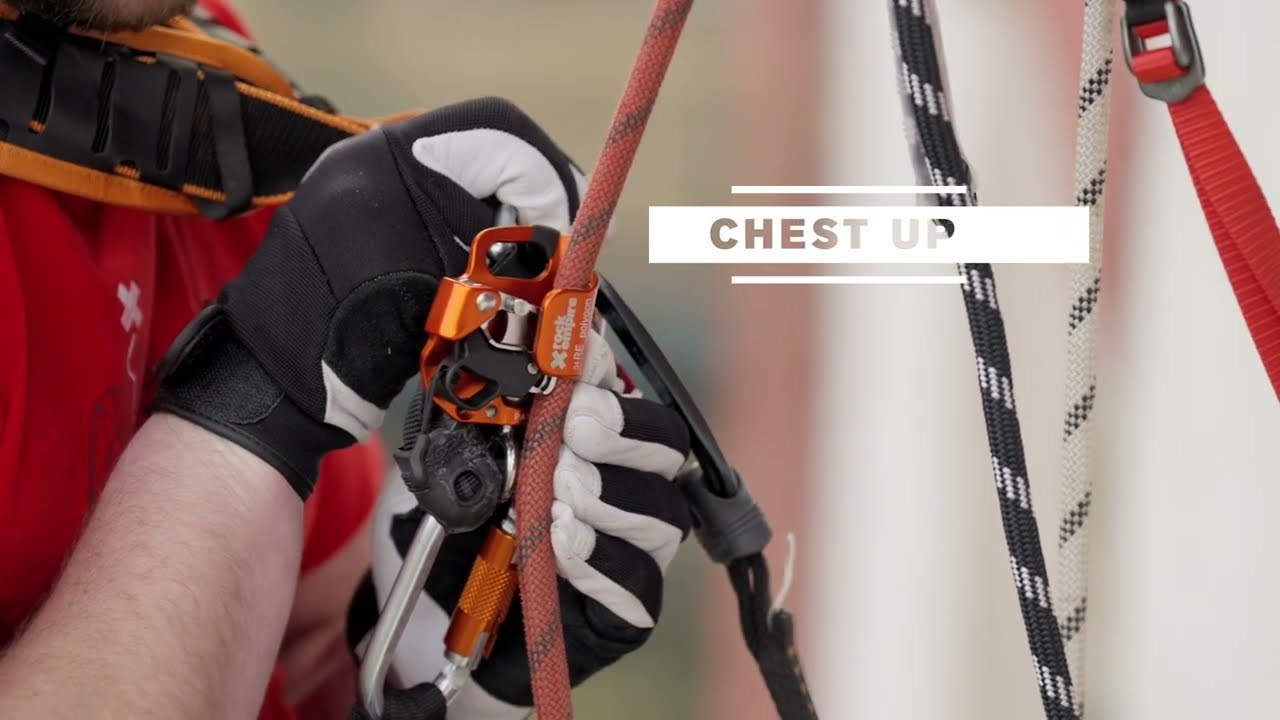 CHEST UP