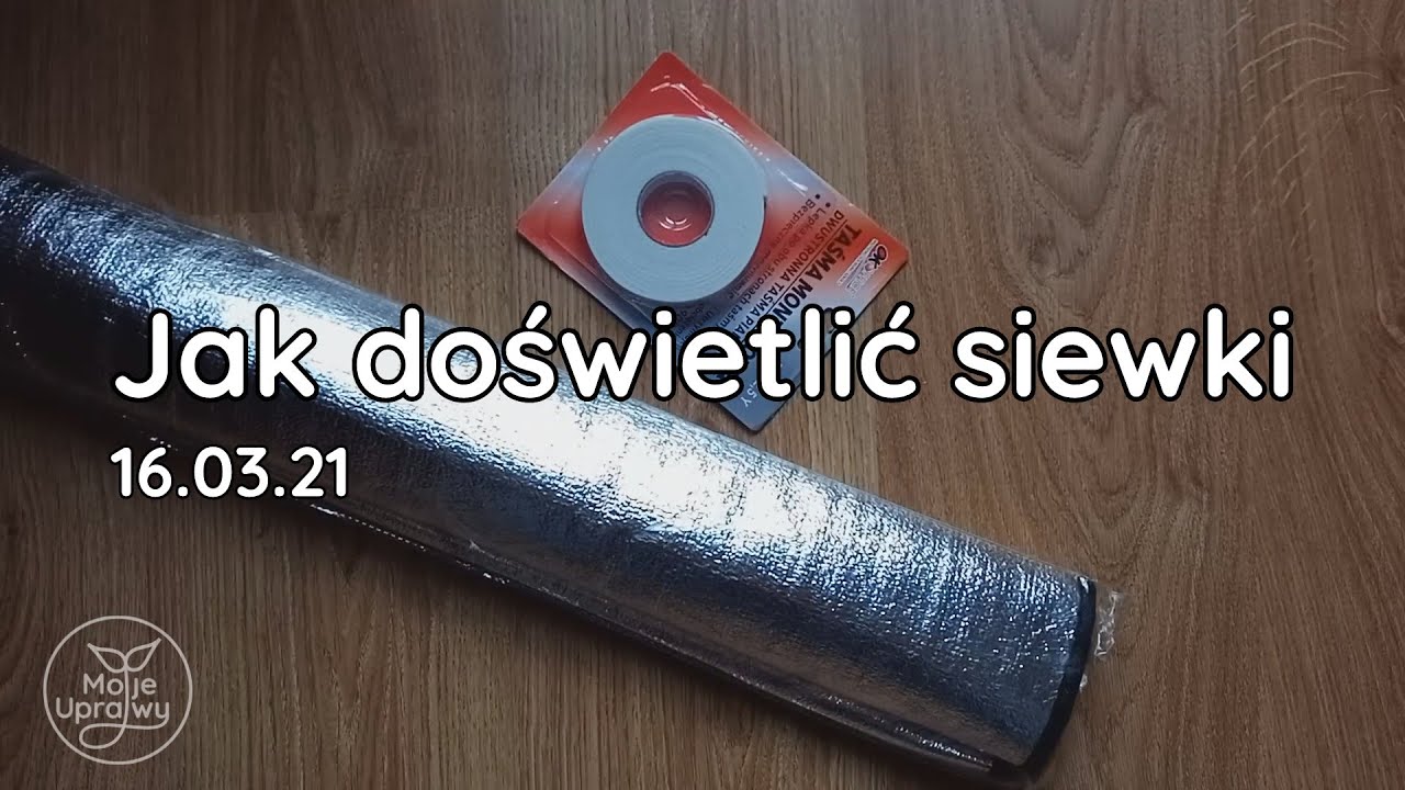 DIY growbox. Jak doświetlić siewki, sadzonki w domu