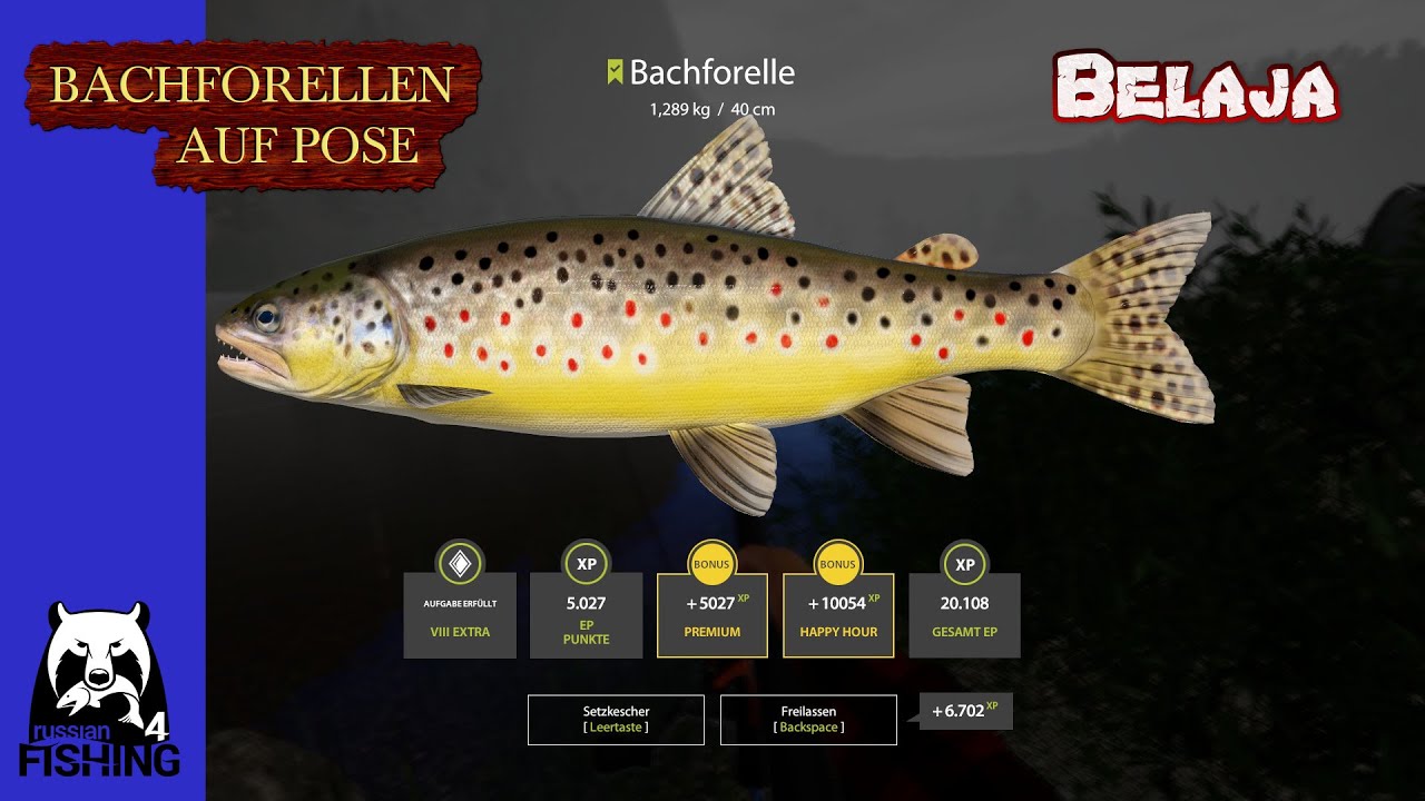 RF4 – Bachforellen auf Pose – Belaja- Russian Fishing 4