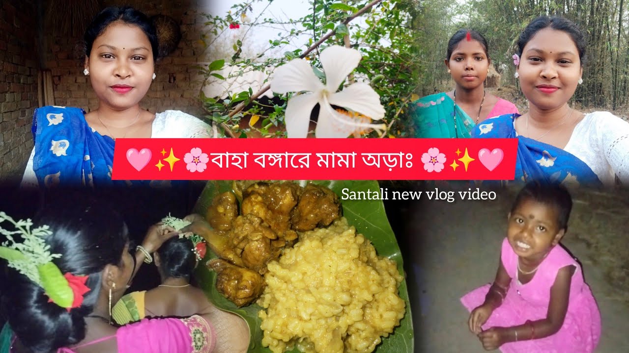 বাহা রে মামা তাকোঠেন লে চালাও এনা🌸🥰|SANTALI NEW VLOG VIDEO 📸|#newvlog #santali #vlog @tanushreemurmu