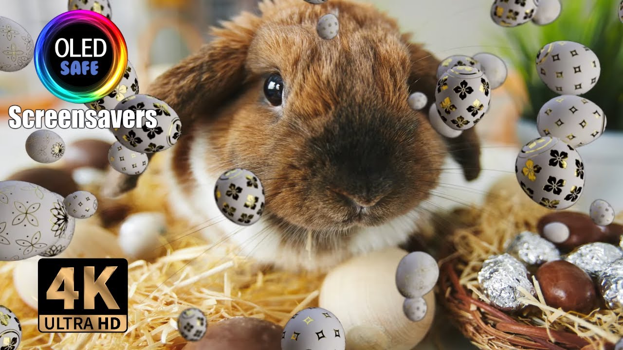 Easter Bunny Screensaver - 10 Hours - 4K - OLED Safe - No Burn-in