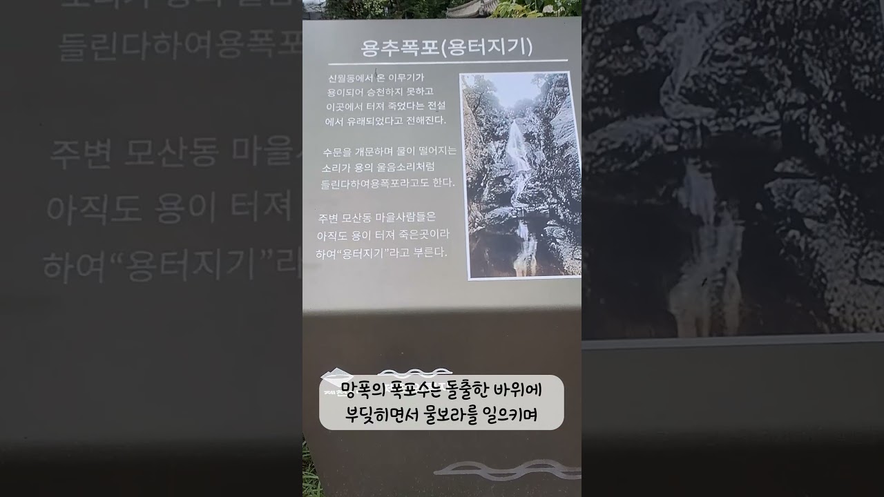 의림지 망폭이 변천한 여수토에 흘러넘치는 용추폭포 #자연사