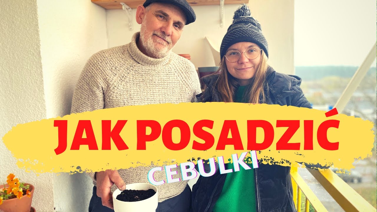 Jak posadzić cebulki do doniczek na balkonie?