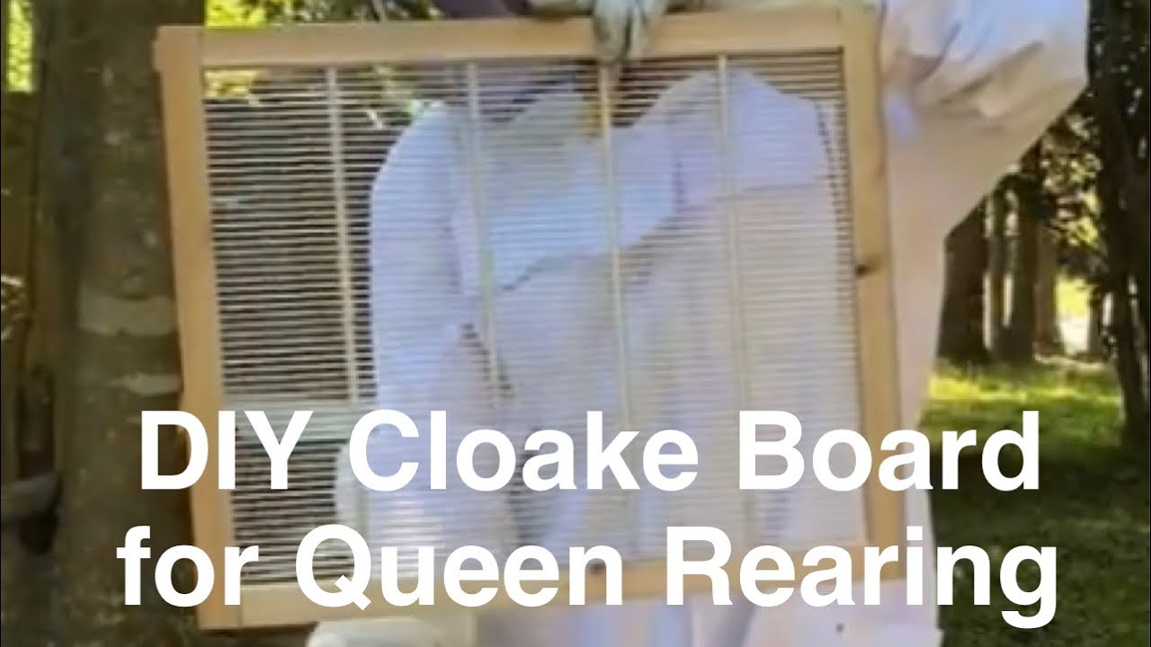 DIY Cloake Board for Queen Rearing (part 1)