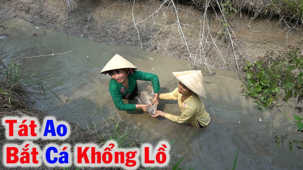 Ao Cá 7 Năm Mới Tác Bắt Được Nhiều Cá Tai Tượng Cá Tra Khổng Lồ và Cá Rượt Chạy La Làng - Tập 379