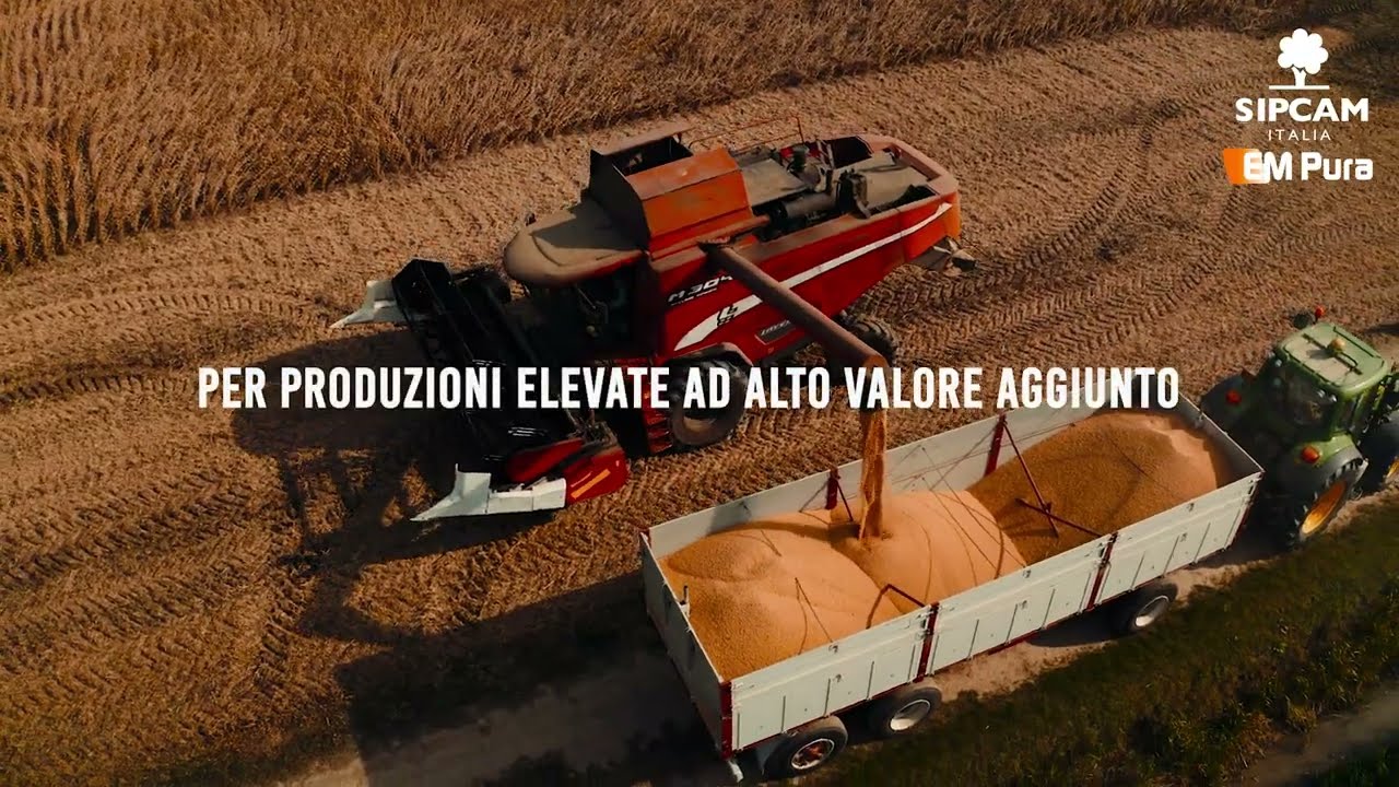 EM PURA. La nuova generazione di soia ad ilo bianco