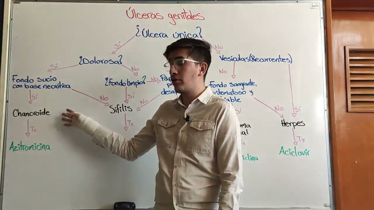 Úlceras genitales