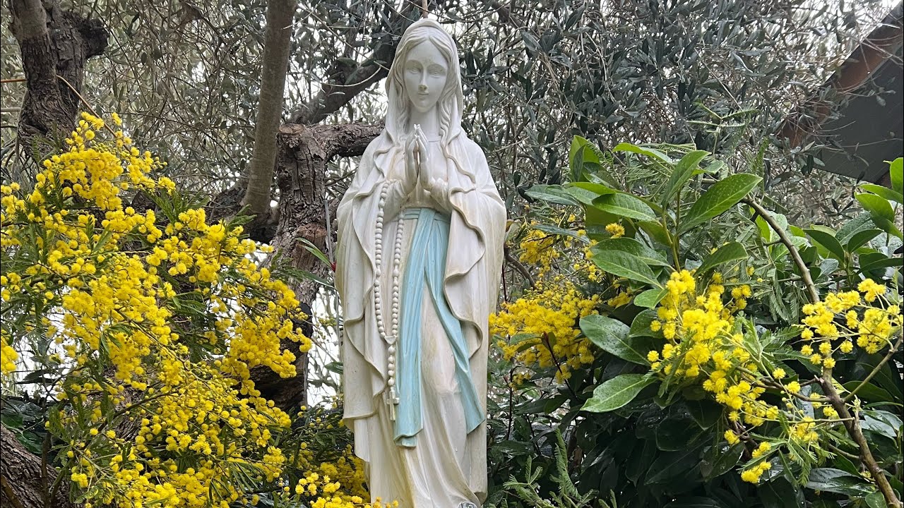 Madonna di Lourdes Santo Rosario per tutti gli ammalati- chiama in diretta Inf: 3898893324