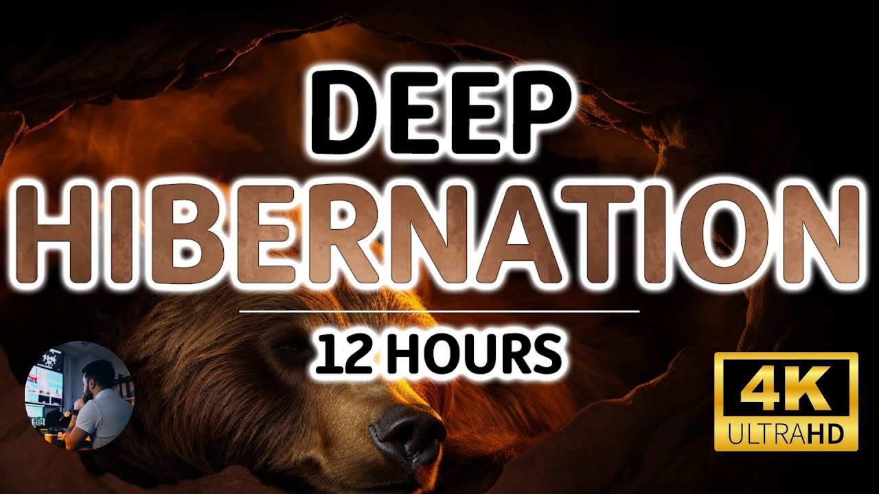 Deep Hibernation Sleep Noise | Low Winter Bass for Restorative Sleep | 12 Hours Black Screen