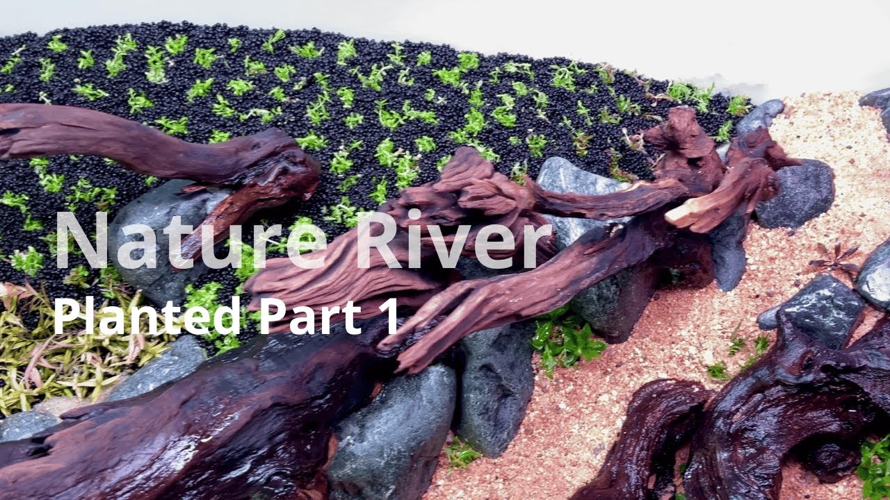 Planted Part 1