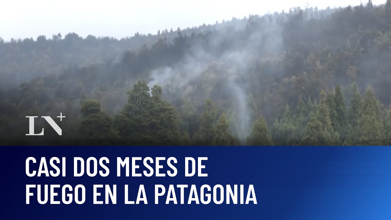 Fuego en la Patagonia: crece la preocupación y continúan los operativos con helicópteros hidrantes