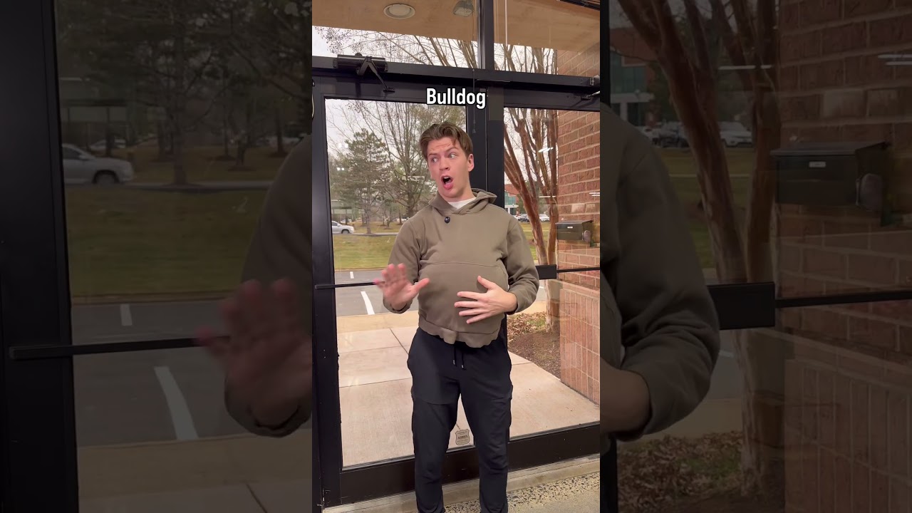 Когда собаки идут на работу 😂🐶