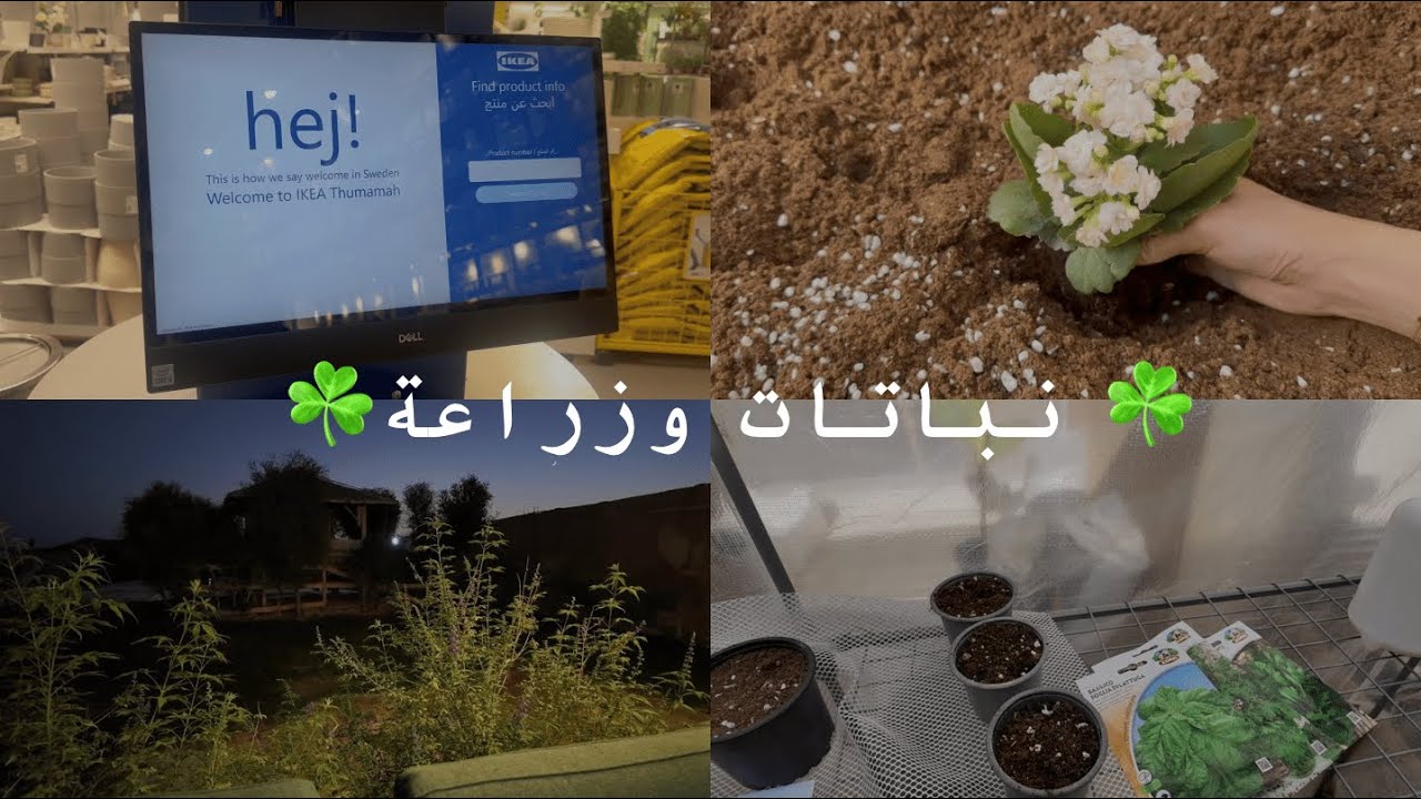 يوم بالمزرعة، اشتريت محمية للنباتات😍 GREEN HOUSE☘️🌱