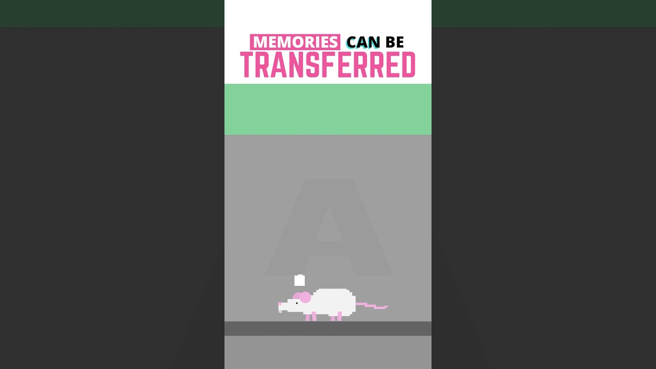FAKE Memories Can Be Implanted In Your Brain! 😯