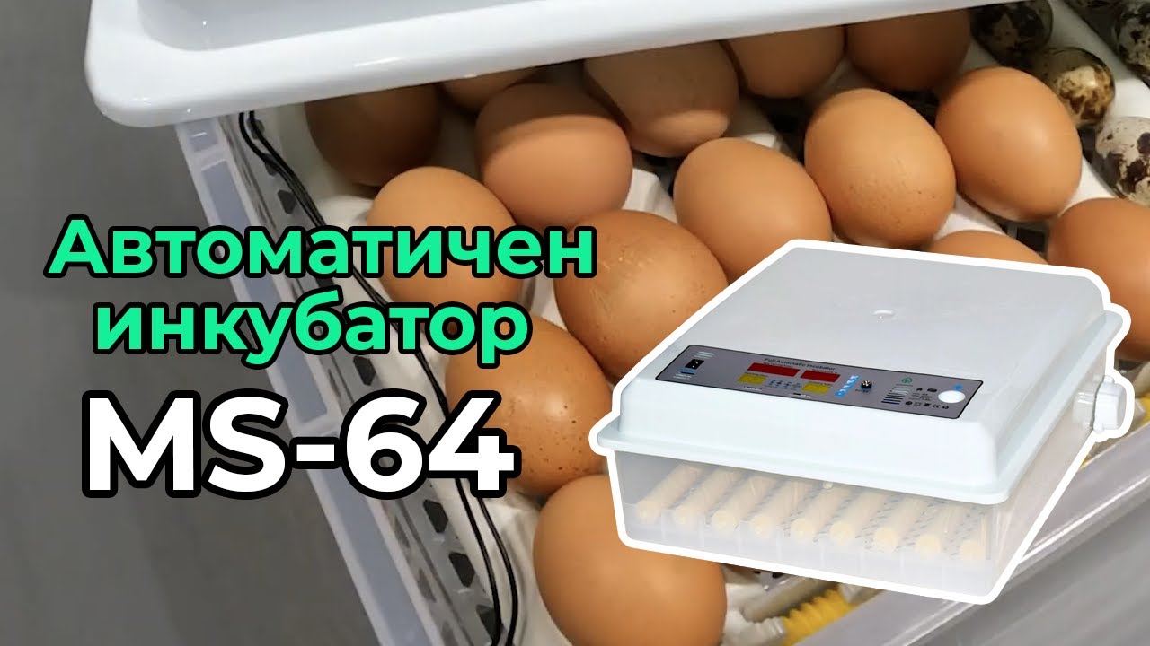 Автоматичен инкубатор за яйца MS-64 (12V/220V). Tehno MS