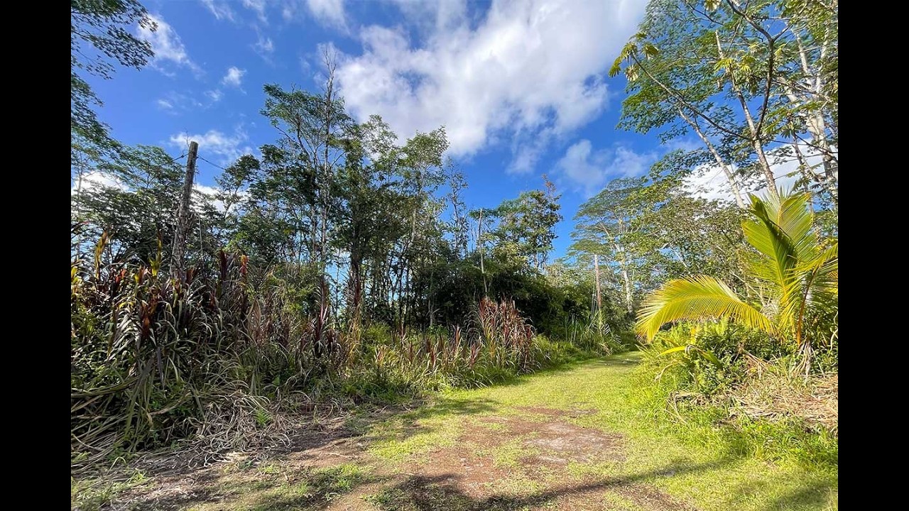 Hawaii Real Estate - Spacious 10,880 sq ft forested lot