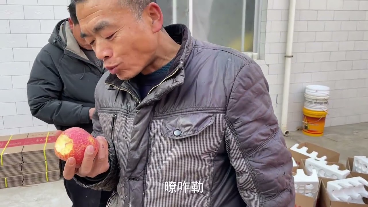 开子在陕西帮果农卖苹果，老丈人忙的不亦乐乎，再累也是开心的 #甘肃加油 #日常vlog