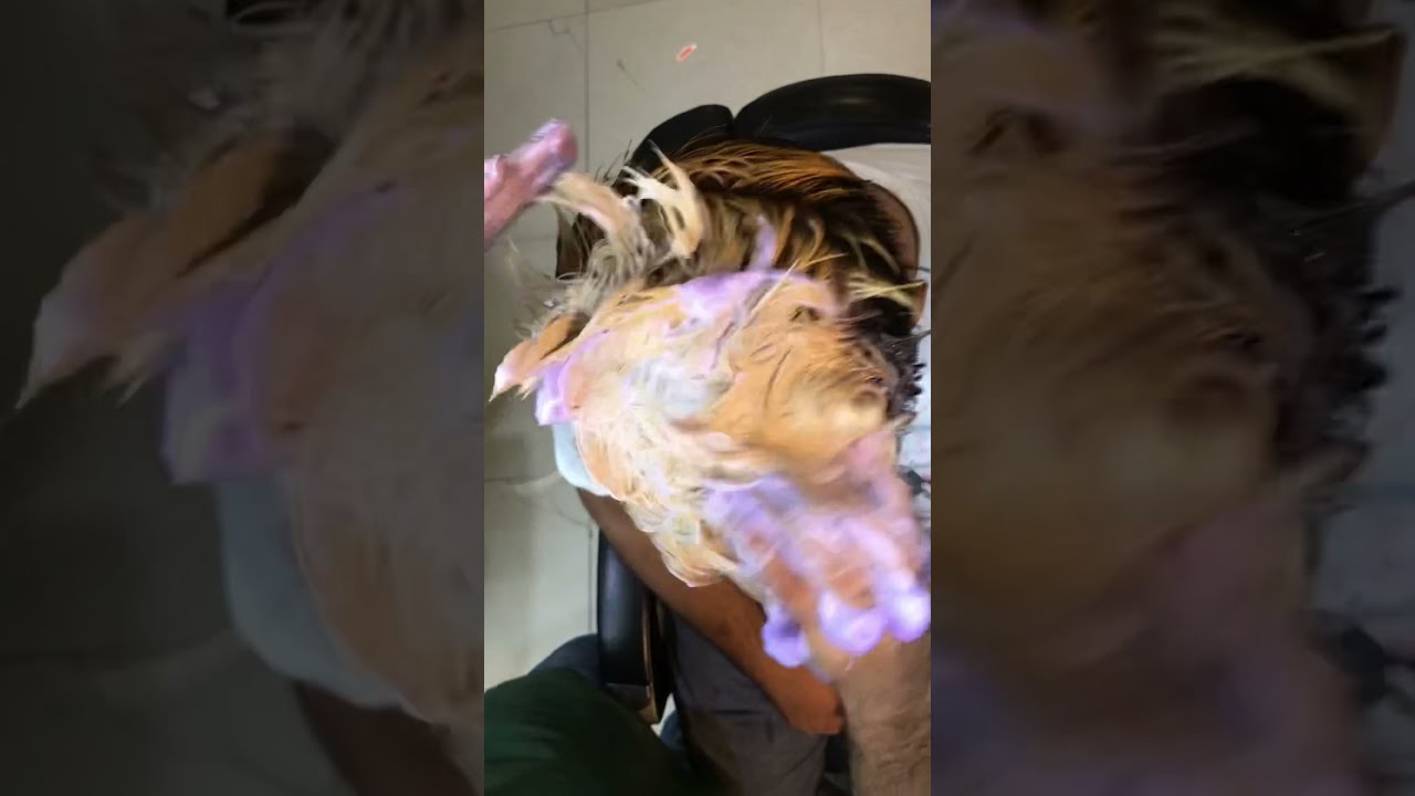 Blue shampoo ka kamal