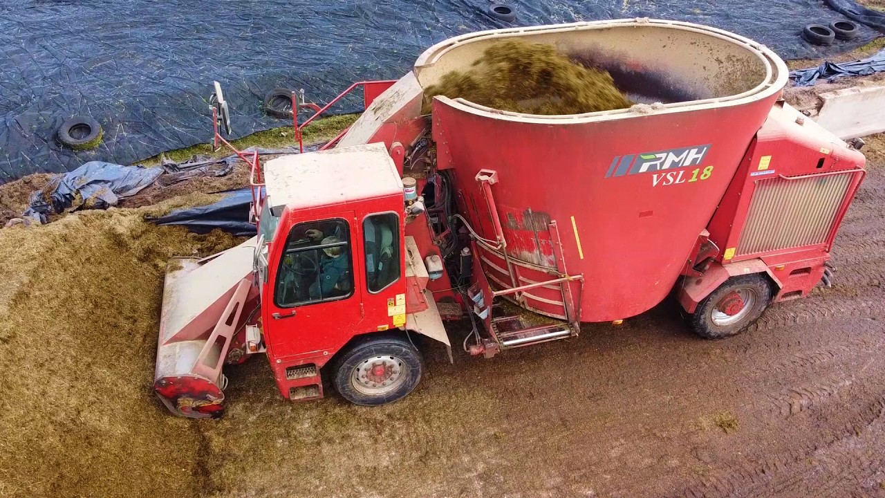 2026 RMH feeding cattle