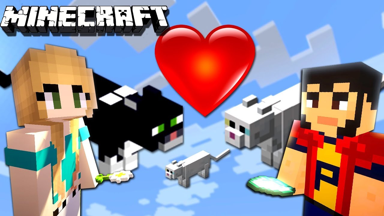 MINECRAFT | HOTELUL PISICILOR !
