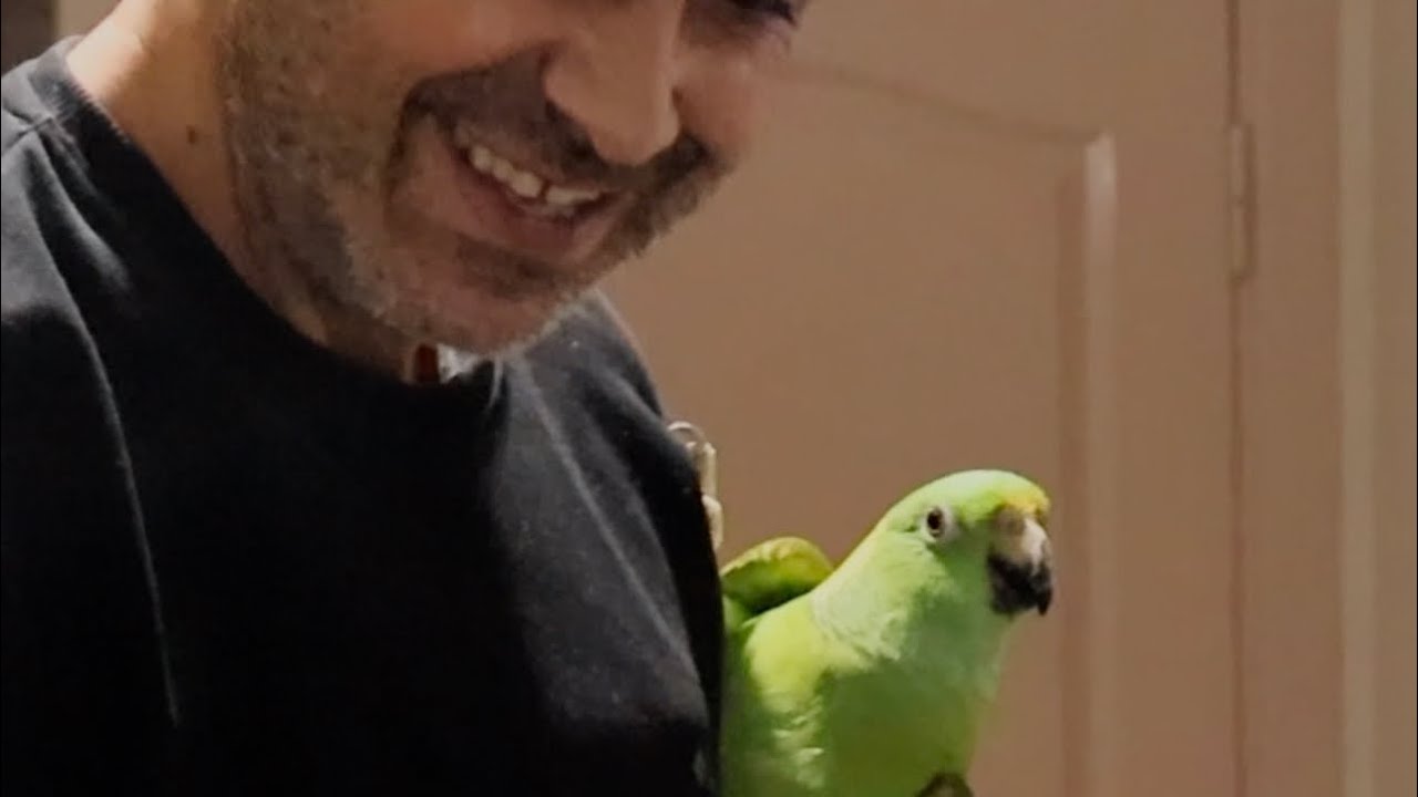 Sence hile yaptık mı?