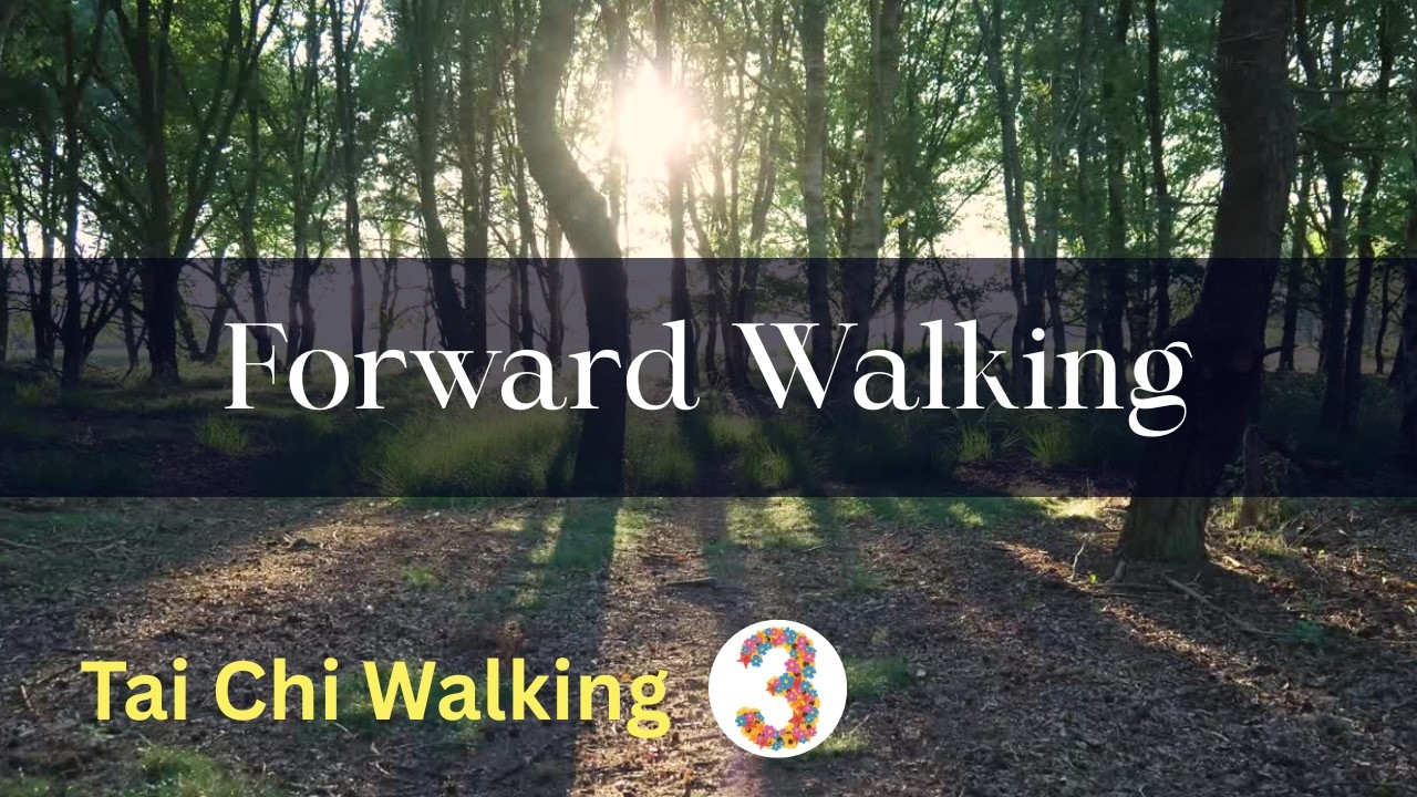 TAI CHI WALKING #3 - Forward Walking - Meditative Movement