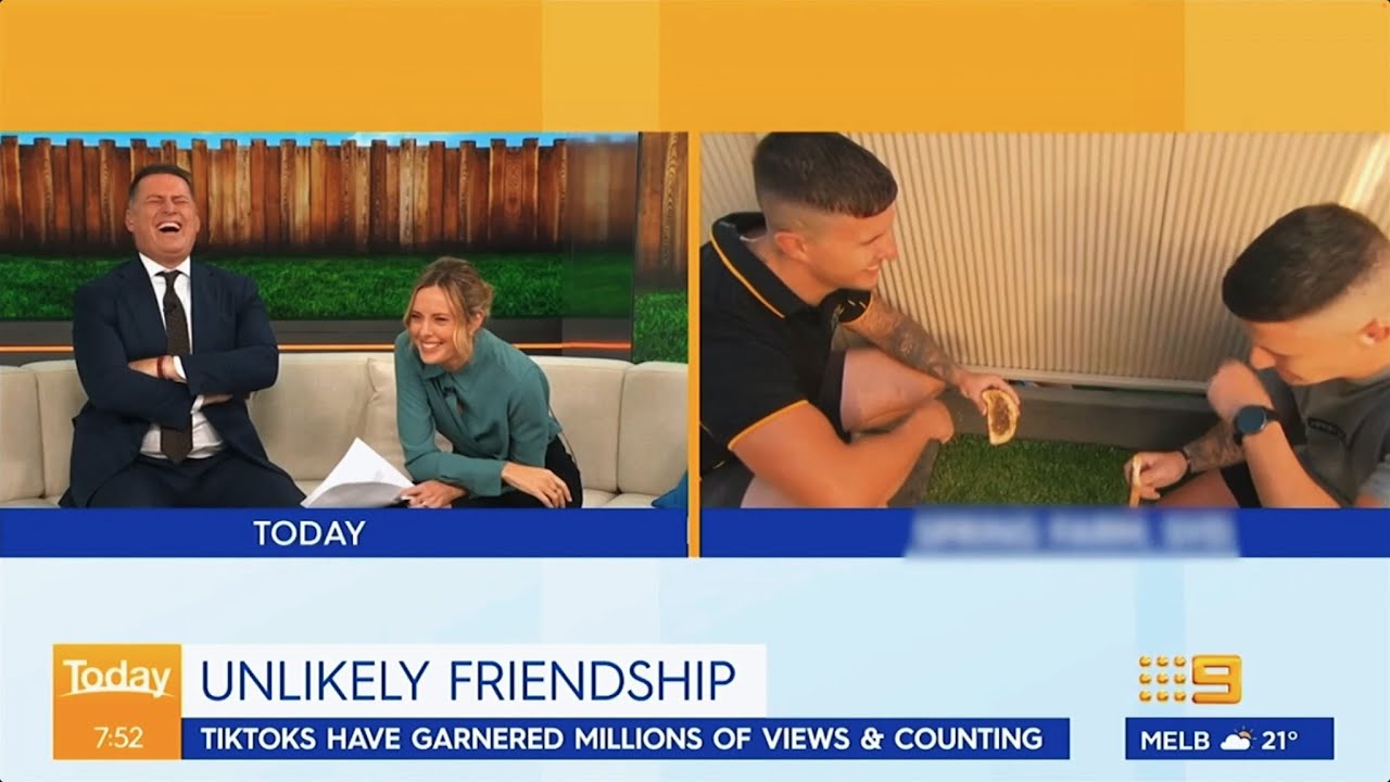 TODAY SHOW HOSTS LOSE IT!! TAKE TWO/ HARPER TIKTOK INTERVIEW