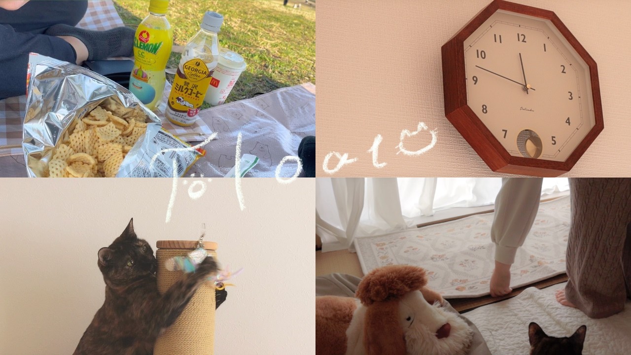 〔vlog/salut!Haul〕ちょっと早い春のピクニックと憧れのアンティーク部屋への第一歩🧺🌳🕰️｜salut!購入品紹介・ねこグッズ・アンティーク家具