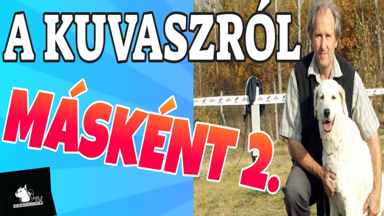A KUVASZ (2021) - A Kuvasz Másként!  2. Rész!  Ismerd meg a KUVASZT, olyannak, amilyen! DogCast TV!