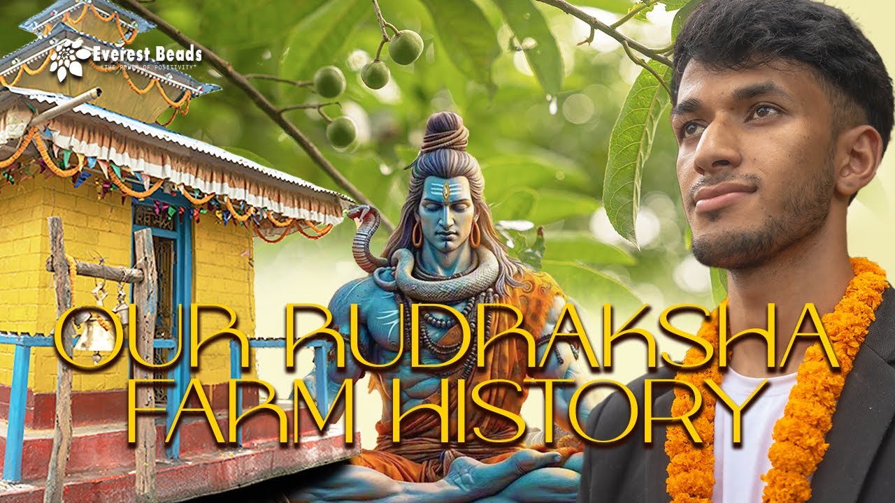 Our Farm and History of Rudraksha🌳