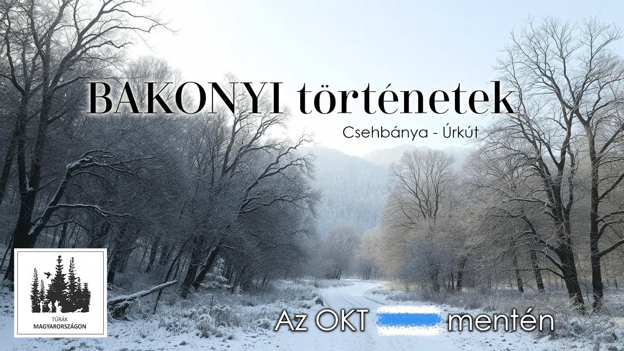 Bakonyi történetek