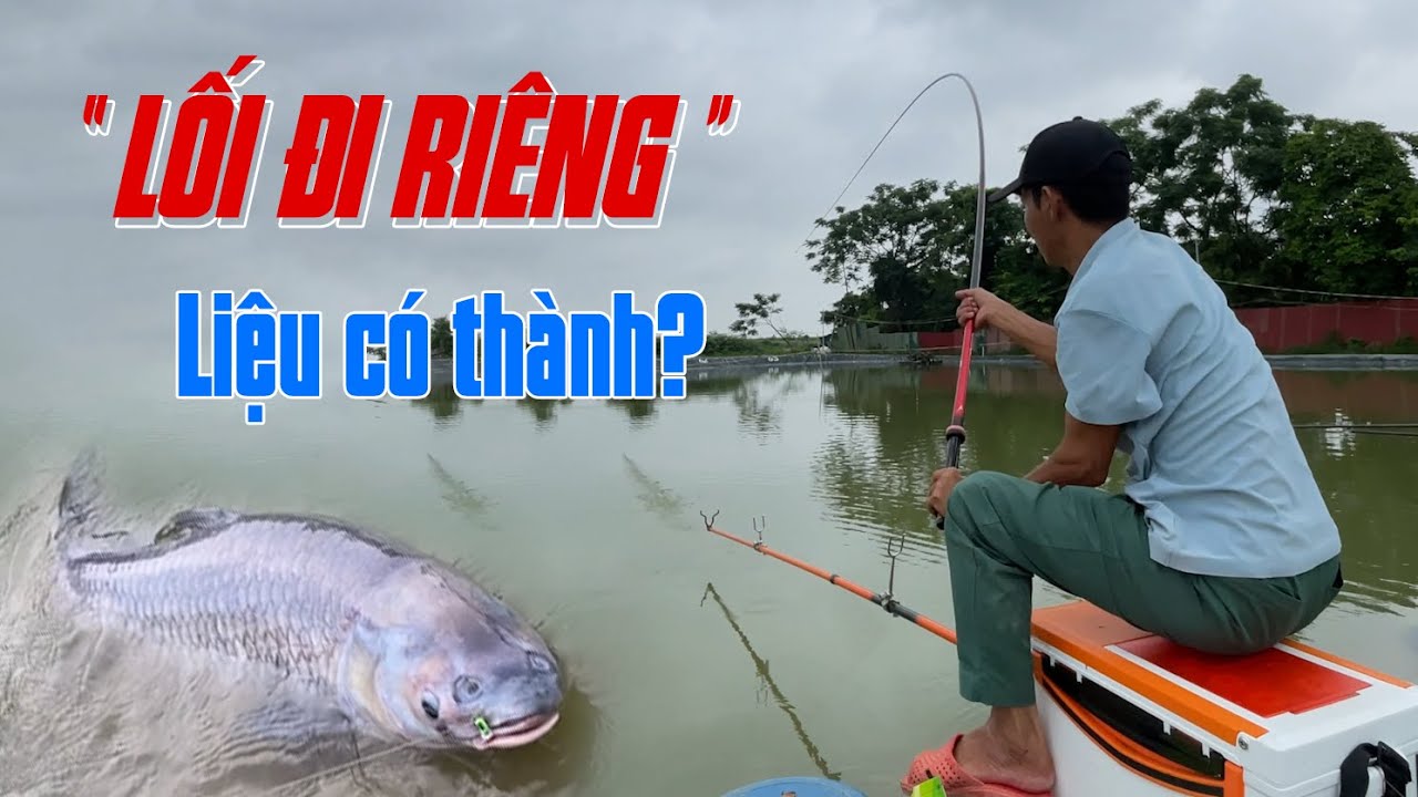 Cá Đè Nhiều Nhưng Không Ăn! Lối đi riêng liệu có thành?! | VIETNAM FISHING TV