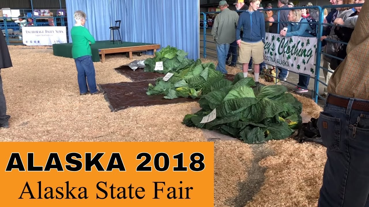 Alaska 2018 - 37 [Alaska State Fair & gigantic vegetables]